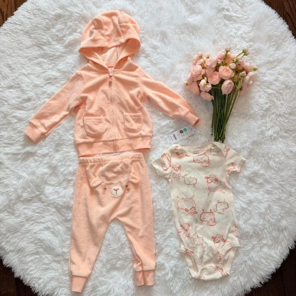 NWT Baby Outfit Set 12M Pink Hoodie Pants Onesie 3 Piece - Picture 1 of 8